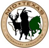Equine Division